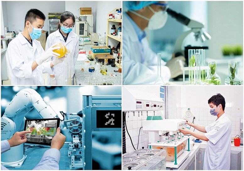 Điều kiện xét tặng Giải thưởng Hồ Chí Minh, Giải thưởng Nhà nước về khoa học và công nghệ - Ảnh 1.