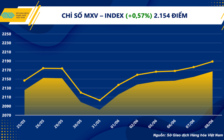 Giá cà phê tăng 'sốc', chỉ số hàng hóa MXV- Index tăng phiên thứ sáu