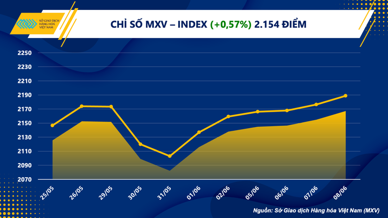 Giá cà phê tăng 'sốc', chỉ số hàng hóa MXV- Index tăng phiên thứ sáu - Ảnh 1.