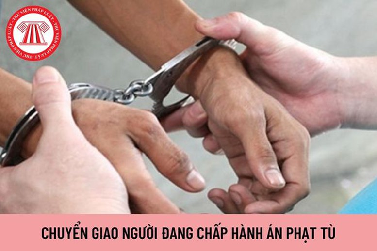 Đề nghị xây dựng Luật Chuyển giao người đang chấp hành án phạt tù - Ảnh 1.