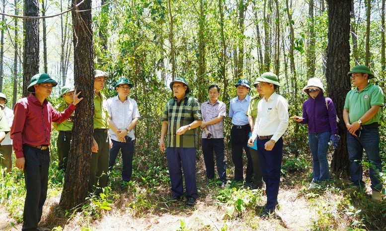 Quảng Trị ứng trực 24/24 trong suốt mùa khô để phòng chống cháy rừng - Ảnh 1.