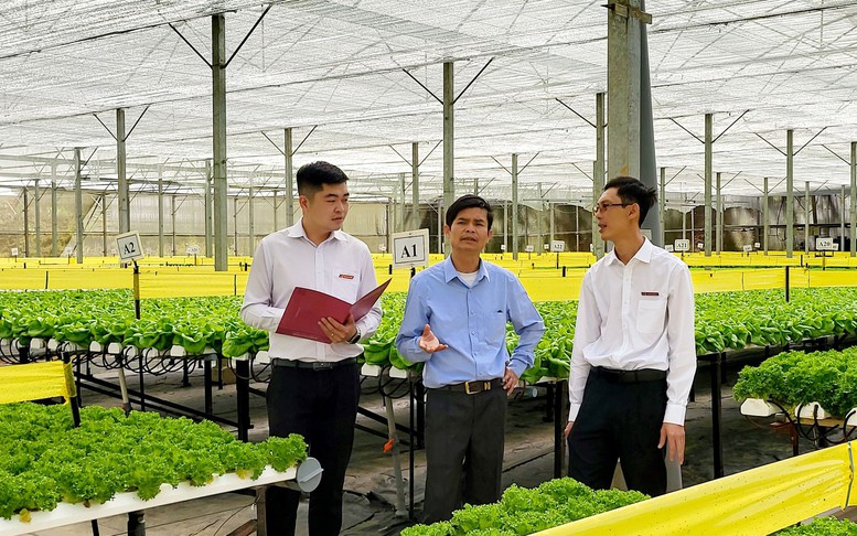 Agribank triển khai các giải pháp hỗ trợ doanh nghiệp vượt khó