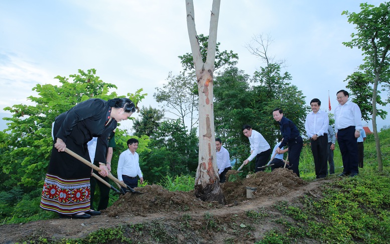 Phó Thủ tướng Trần Hồng Hà dâng hương tưởng niệm anh hùng, liệt sĩ tại chiến trường Điện Biên Phủ - Ảnh 8.