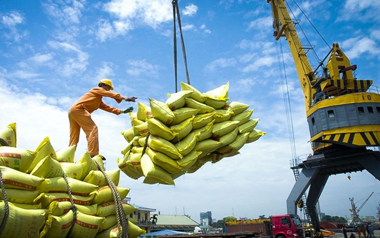 Tăng cường các giải pháp thúc đẩy sản xuất, xuất khẩu gạo