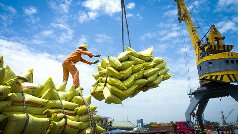 Tăng cường các giải pháp thúc đẩy sản xuất, xuất khẩu gạo - Ảnh 1.