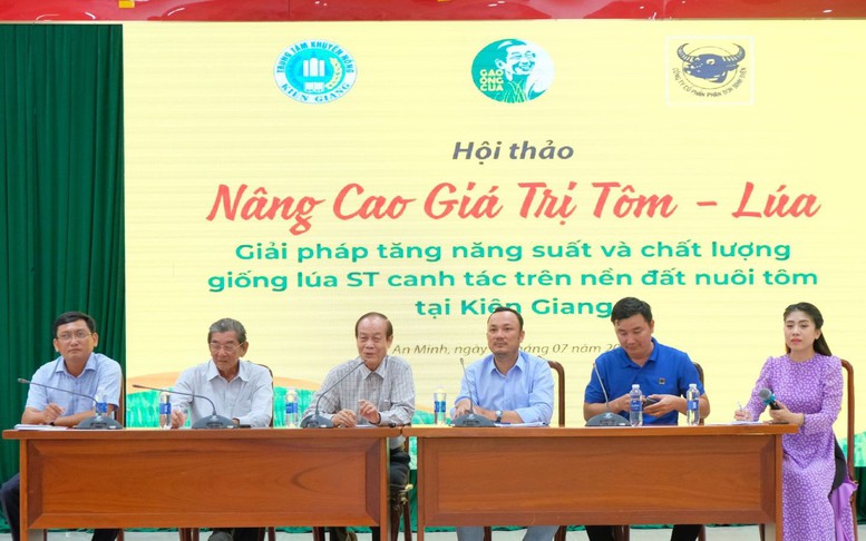 Giải pháp tăng năng suất và chất lượng giống lúa ST  canh tác trên nền đất nuôi tôm