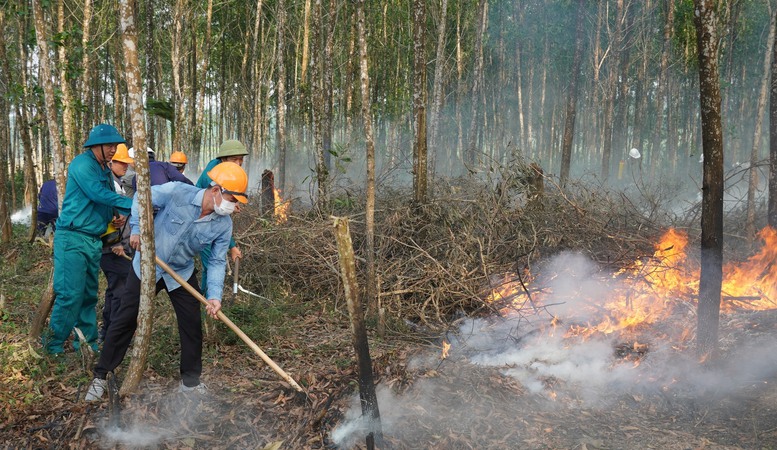 Miền Trung sẵn sàng phương án phòng chống cháy rừng trên diện rộng - Ảnh 2.