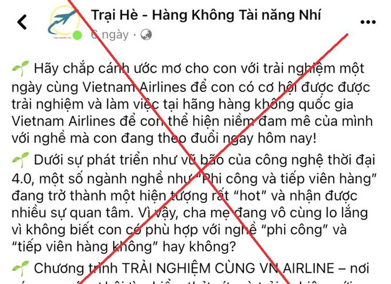 Bị lừa tiền tỷ vì đăng ký 'Trại hè - Hàng không tài năng nhí' cho con - Ảnh 1.