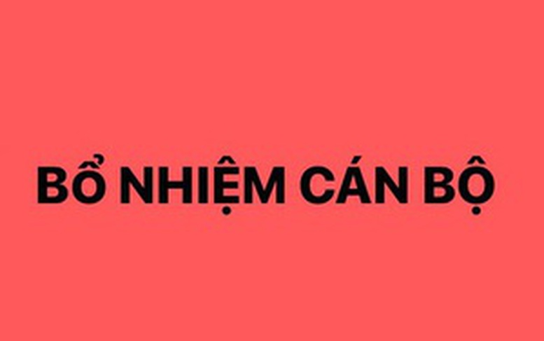 Bổ nhiệm Trợ lý Thủ tướng Chính phủ
