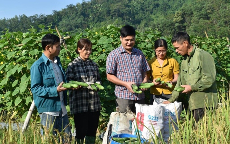 Khuyến nông cơ sở cần được xây dựng để hỗ trợ thiết thực cho nông dân