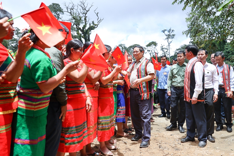 Thủ tướng: Đẩy mạnh liên kết, phát huy vai trò người dân trong sản xuất, chế biến sâm Ngọc Linh - Ảnh 1.