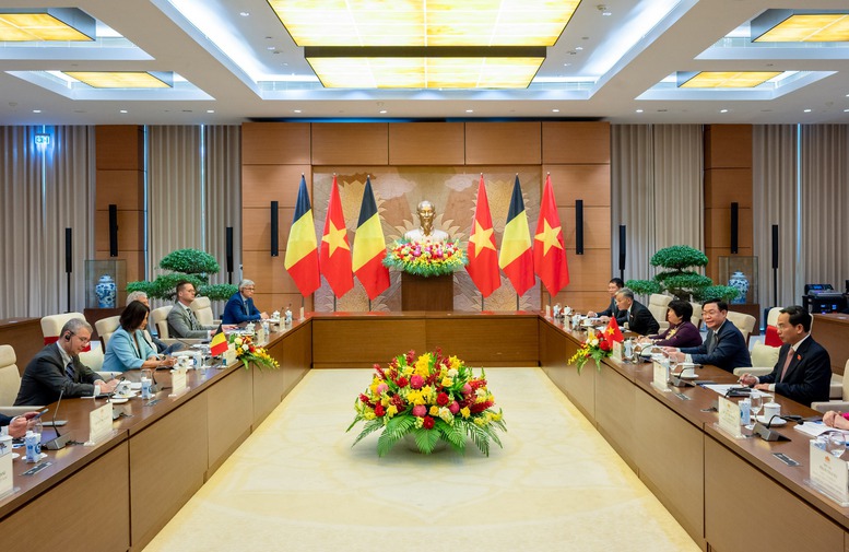 Chủ tịch Quốc hội đón, hội đàm với Chủ tịch Thượng viện Vương quốc Bỉ - Ảnh 4.