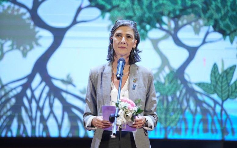 Trưởng Đại diện UNDP: Hệ thống bảo trợ xã hội của Việt Nam tăng đáng kể mức độ bao phủ