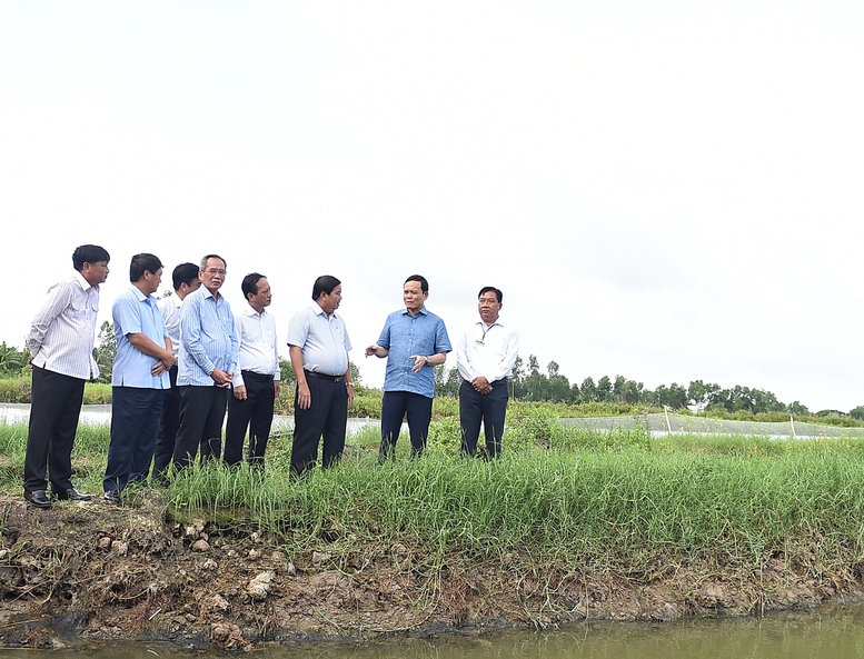 Phó Thủ tướng Trần Lưu Quang khảo sát 3 chương trình MTQG tại Bạc Liêu - Ảnh 3.