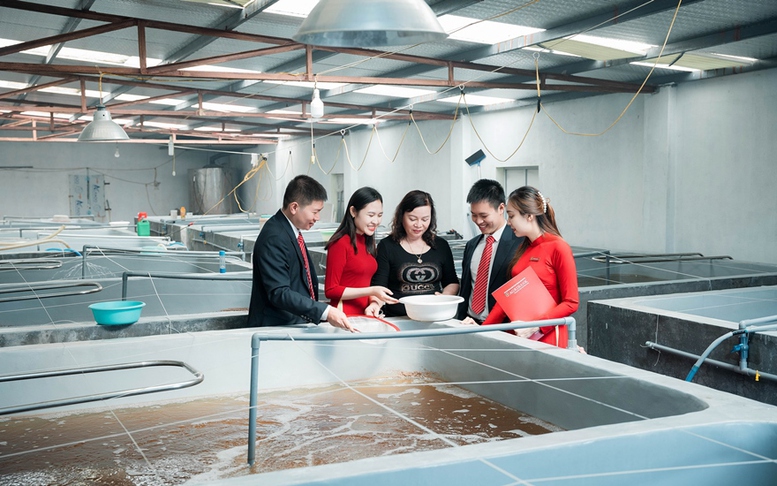 Agribank dành gói tín dụng ưu đãi 3.000 tỷ đồng cho lĩnh vực lâm, thủy sản