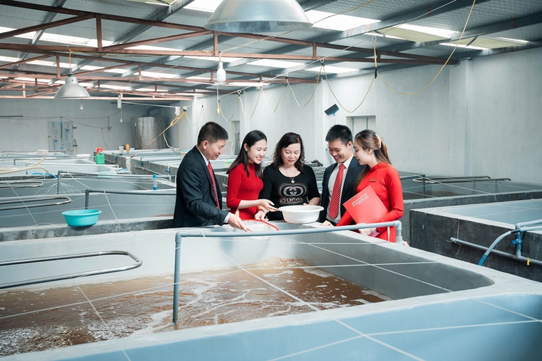 Agribank có “gói” tín dụng ưu đãi 3.000 tỷ đồng cho lĩnh vực lâm, thủy sản - Ảnh 2.