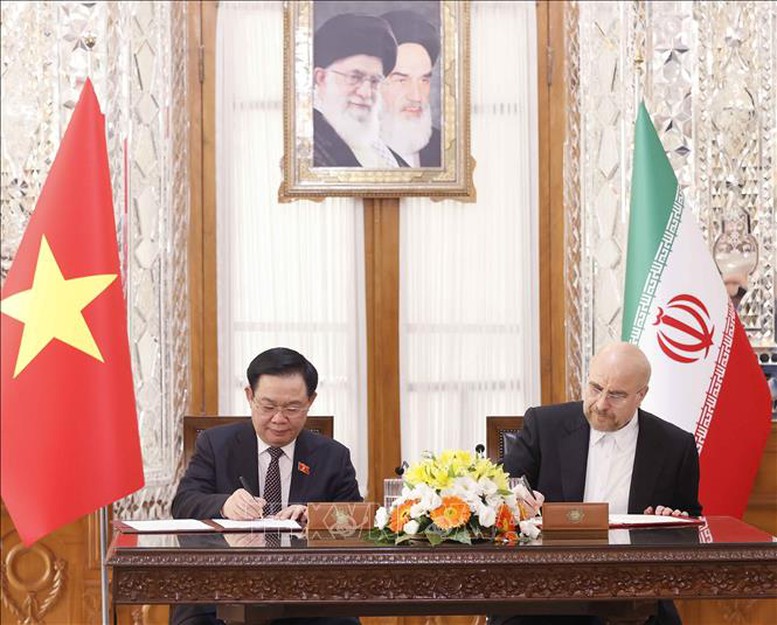 Chủ tịch Quốc hội Vương Đình Huệ hội đàm với Chủ tịch Quốc hội Iran - Ảnh 3.