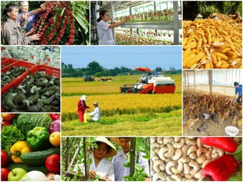 Đề xuất tiêu chuẩn thành viên Hội đồng quản lý đơn vị sự nghiệp công lập Nông nghiệp và Phát triển nông thôn - Ảnh 1.