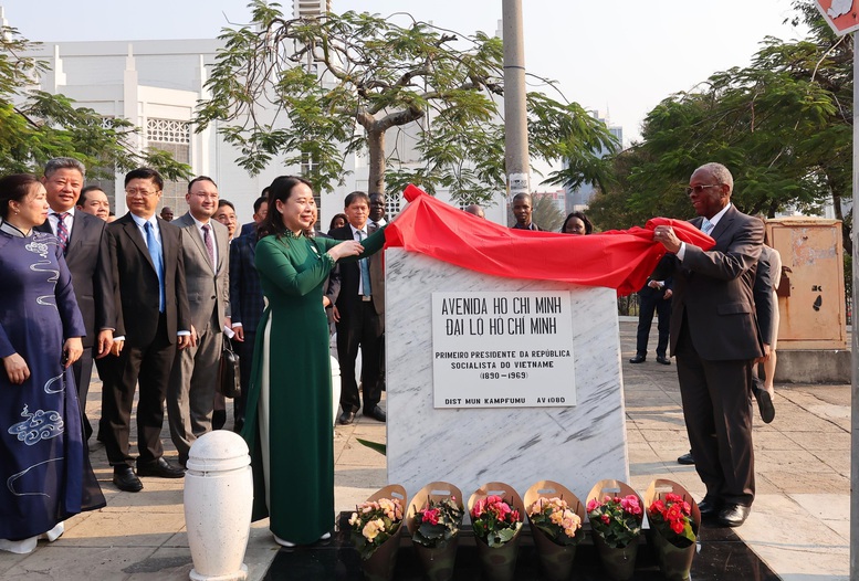 Phó Chủ tịch nước Võ Thị Ánh Xuân hội đàm với Thủ tướng Mozambique - Ảnh 3.