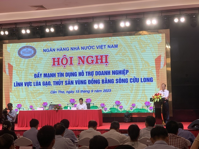 Ngân hàng linh hoạt hỗ trợ tín dụng DN lĩnh vực lúa gạo, thuỷ sản ĐBSCL - Ảnh 2.