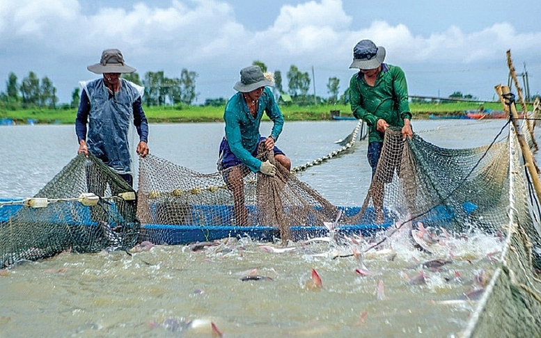 Hỗ trợ Quảng Trị hóa chất để phòng, chống dịch bệnh thủy sản