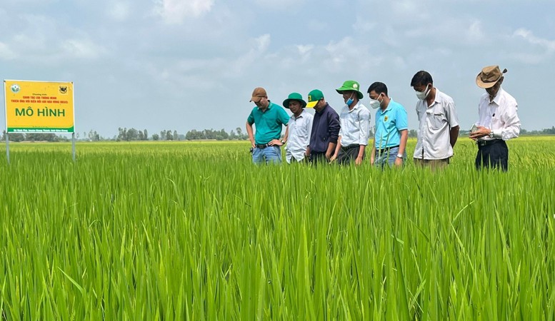 Cùng nông dân hành động bảo vệ hành tinh xanh - Ảnh 3.