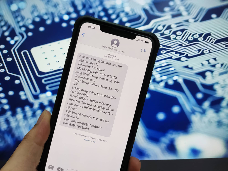 Lừa đảo trên mạng liên tiếp có thêm nhiều kịch bản mới - Ảnh 1.
