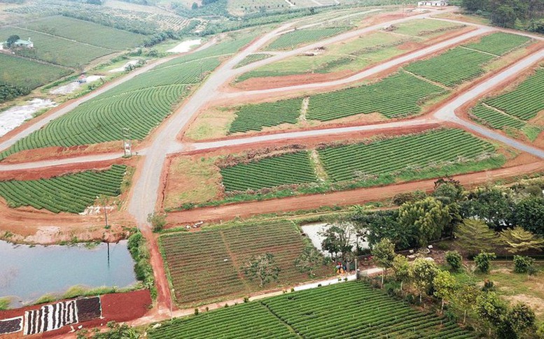 Có quy định hạn mức chuyển đất nông nghiệp thành đất ở?
