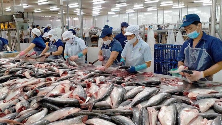 Thủy sản lấy lại đà cân bằng để đẩy mạnh xuất khẩu - Ảnh 1.