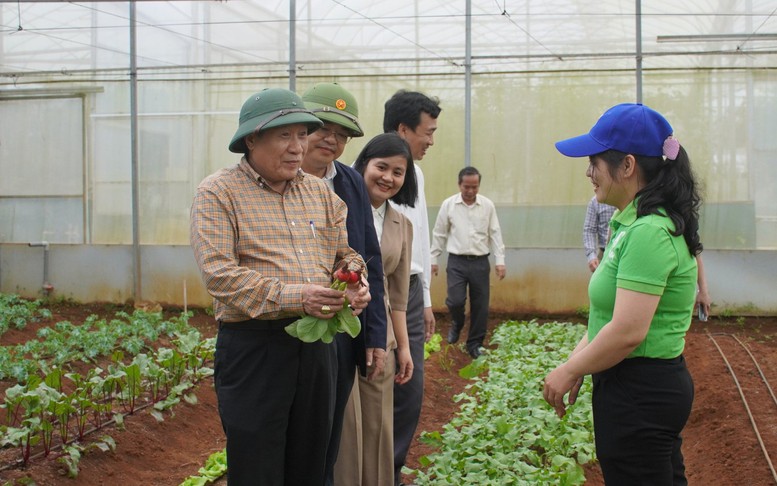 Quảng Trị: Chính sách hỗ trợ lãi suất giúp doanh nghiệp phục hồi sản xuất