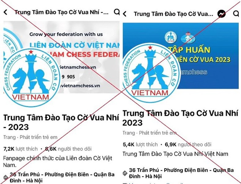 Lừa đảo bằng cách giả mạo trung tâm đào tạo cờ vua cho trẻ em- Ảnh 1.