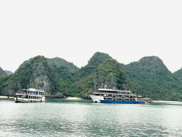 Bài 2: Phát triển du lịch biển, đảo chuyên nghiệp, trở thành điểm đến hấp dẫn- Ảnh 2.