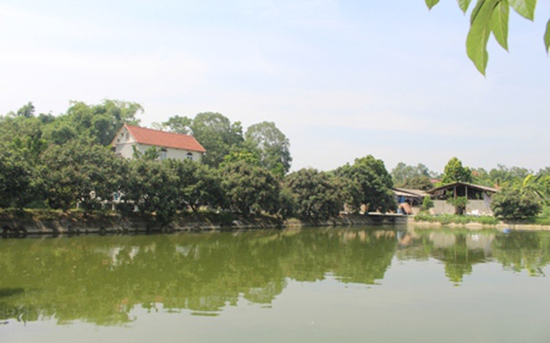 Thế nào là đất vườn, ao gắn liền nhà ở?