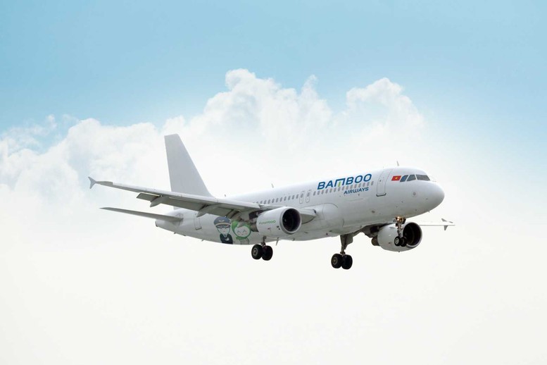 Bamboo Airways bổ sung thêm tàu bay phục vụ cao điểm tết 2024- Ảnh 1.