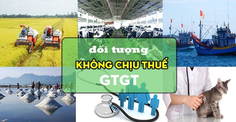 Những đối tượng nào không phải chịu thuế GTGT?- Ảnh 1.