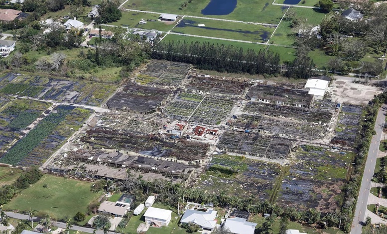 HÌNH ẢNH siêu bão Milton đổ bộ vào bang Florida, Mỹ- Ảnh 7.