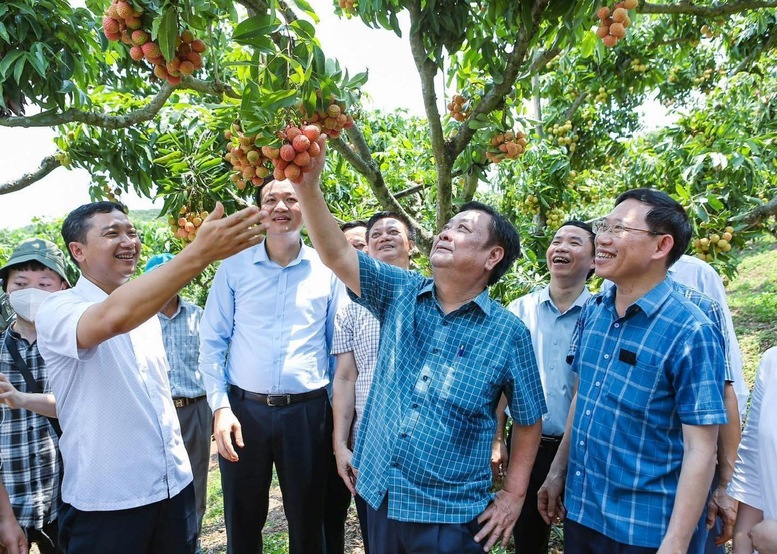 Nhân rộng mô hình nông thôn mới nâng cao tại 'thủ phủ vải thiều' Lục Ngạn- Ảnh 1.