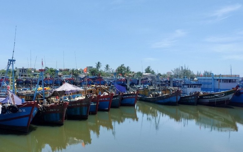 Quảng Ngãi: Ngăn chặn, xử lý tàu cá có ý định đi khai thác vùng biển nước ngoài