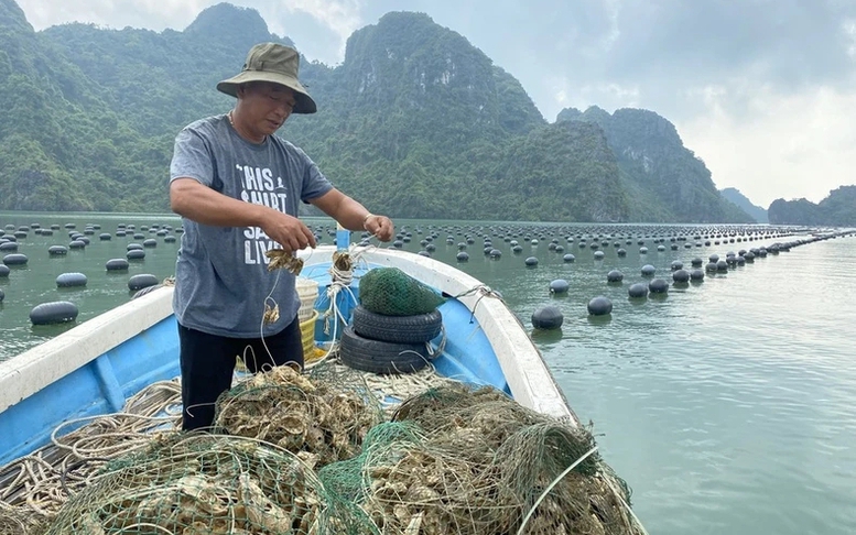 Công điện của Thủ tướng Chính phủ về đẩy mạnh khôi phục sản xuất nông nghiệp sau bão số 3