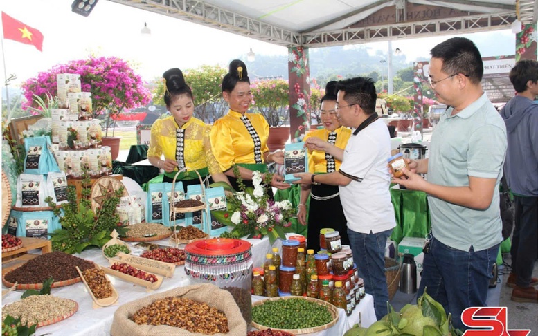 Sơn La: Hỗ trợ doanh nghiệp nông nghiệp lên sàn 'thương mại điện tử'