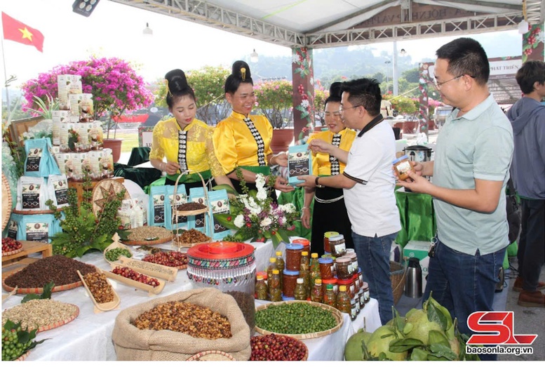 Sơn La: Hỗ trợ doanh nghiệp nông nghiệp lên sàn 'thương mại điện tử'- Ảnh 1.