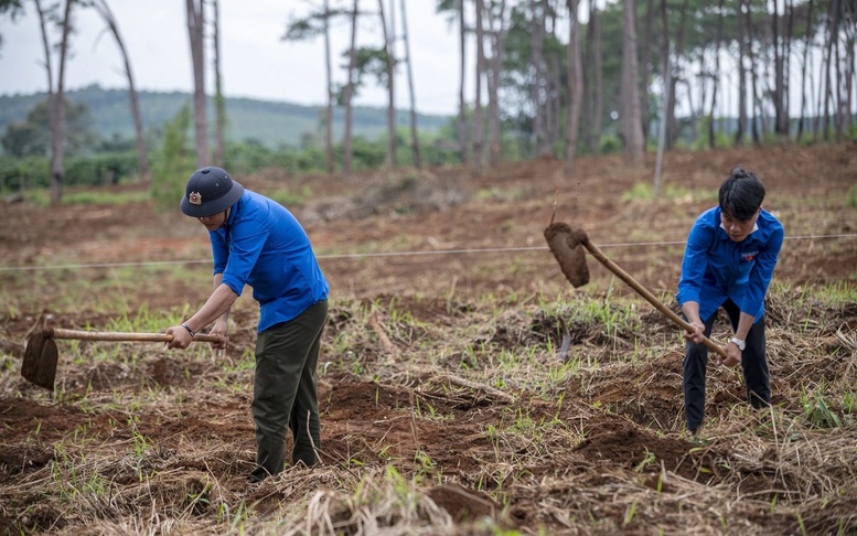 Thanh Hóa đẩy mạnh trồng rừng theo tiêu chuẩn FSC