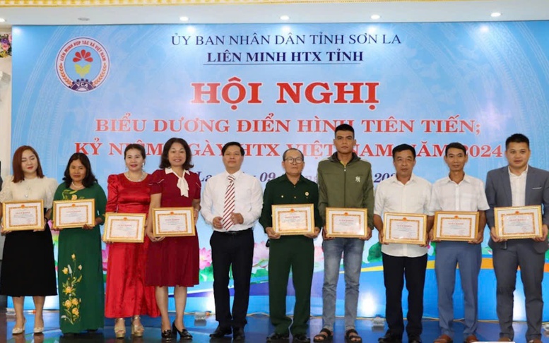 Liên minh HTX tỉnh Sơn La thúc đẩy, hỗ trợ kinh tế tập thể, kinh tế hợp tác trên địa bàn