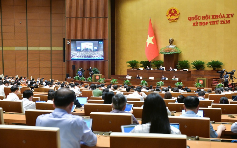 Nghiêm cấm 'thỏa thuận mua bán người từ khi còn đang là bào thai'