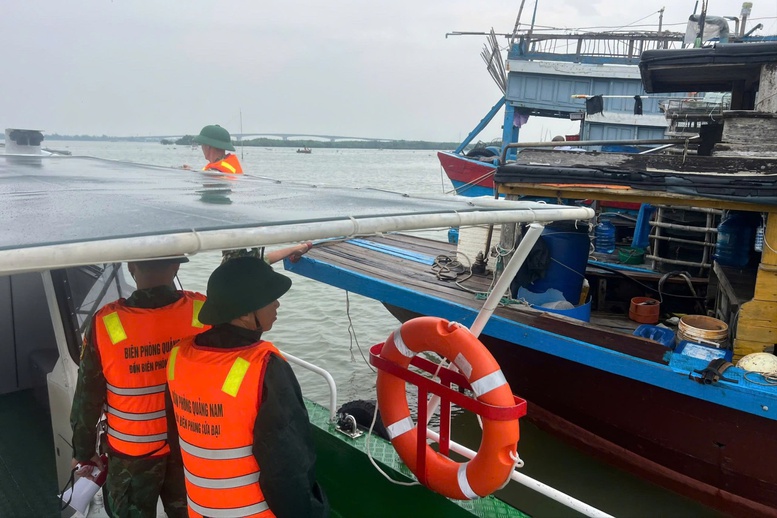 Biên phòng Quảng Nam giúp nhân dân gặt lúa, chằng chống nhà trước bão Trà Mi- Ảnh 2.