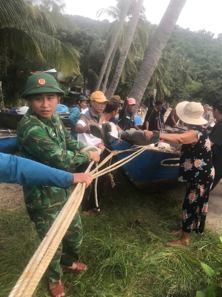 Biên phòng Quảng Nam giúp nhân dân gặt lúa, chằng chống nhà trước bão Trà Mi- Ảnh 7.