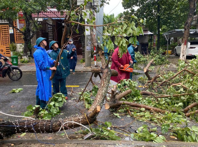 Đà Nẵng sơ tán 1.677 hộ dân, với 6.205 nhân khẩu đến nơi an toàn- Ảnh 1.