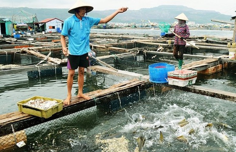 Quảng Ninh đẩy mạnh các giải pháp phục hồi kinh tế- Ảnh 1.