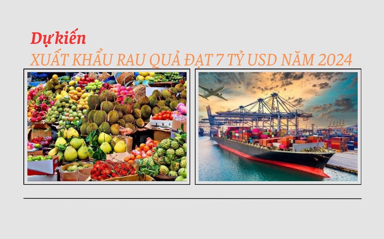 Kỷ lục mới về xuất khẩu rau quả