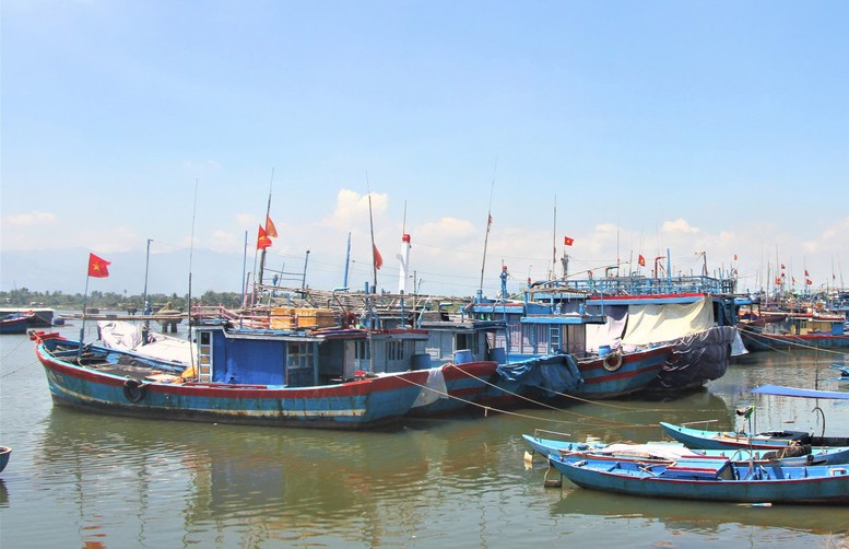 Quảng Nam quyết tâm hoàn thành đăng ký, cấp phép tàu cá dưới 12m trong tháng 10 - Ảnh 1.